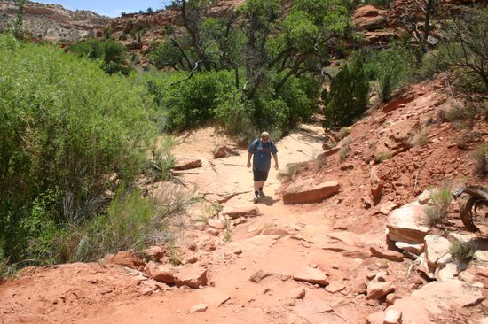 ...über Stock und Stein
