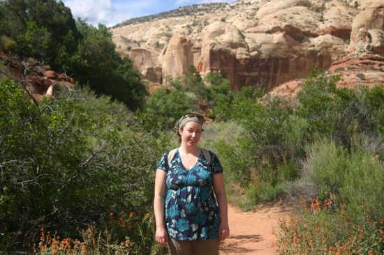 Der Bauch wächst kontinuierlich...