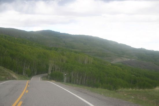 Fahrt durch den Dixie Nat. Forest bei Regen
