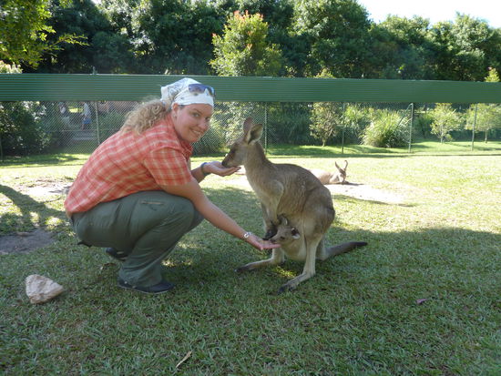 Echt der Wahnsinn.....