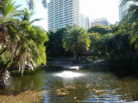 Botanischer Garten in Brisbane