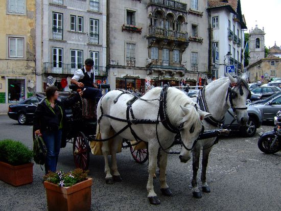 Bezahlung unserer Kutschenfahrt
