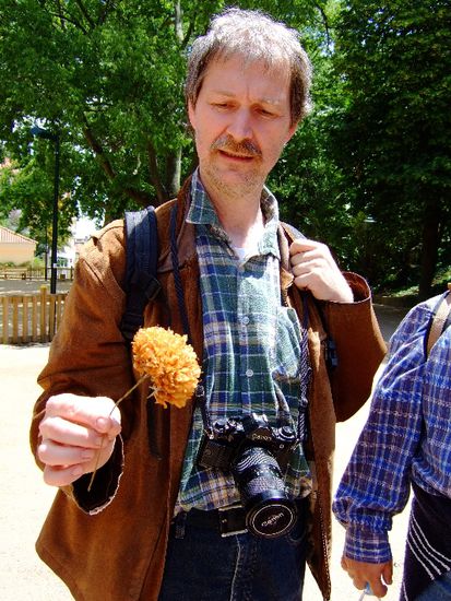 Analyse einer Blüte