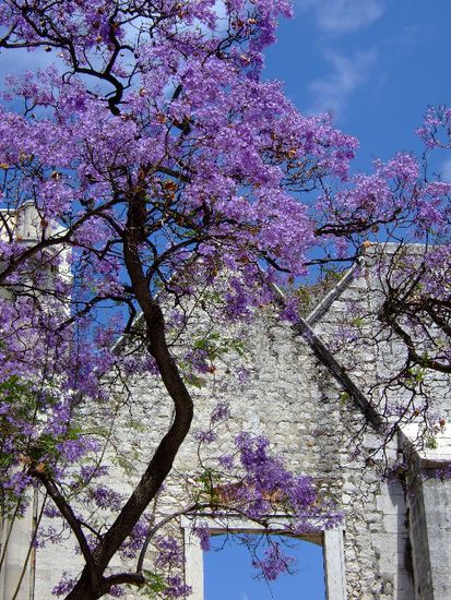 Wunderschönes Farbenspiel