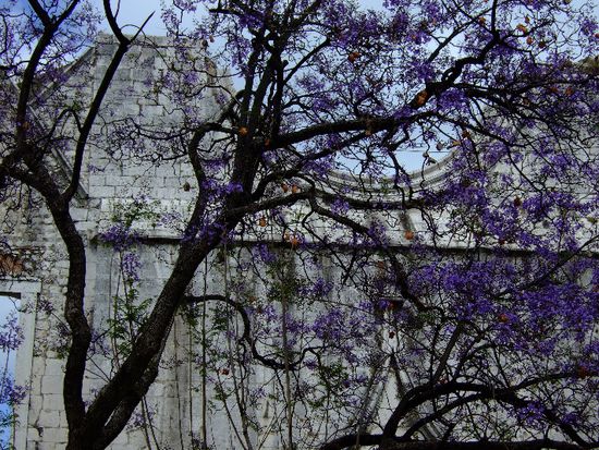 Licht &amp; Schattenseite