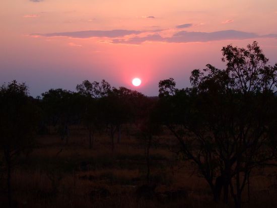 Sonnenuntergang im Bush