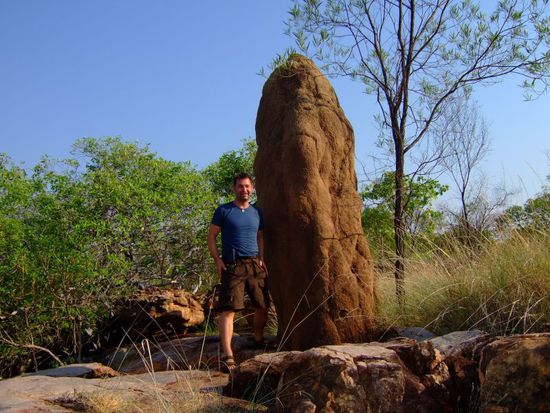 Ein etwas groesserer Termitenhuegel  