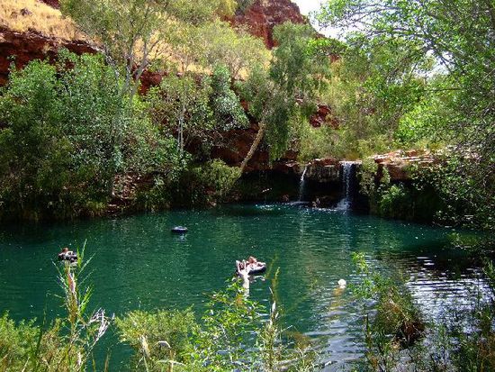 FERN POOL