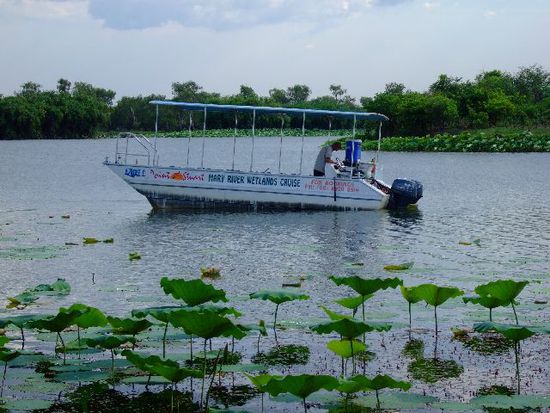 MARY RIVER