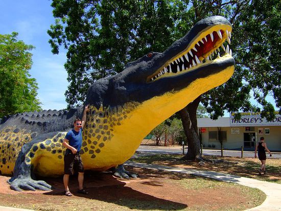 Diesem Krokodil traute ich viel mehr  