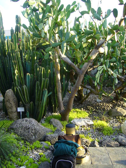Raucherzone vom Singapurer Flughafen