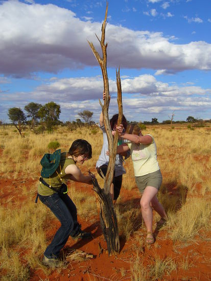 So sah das dann aus...