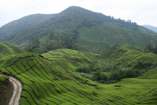 Auenland? Ah was! Malaysia!