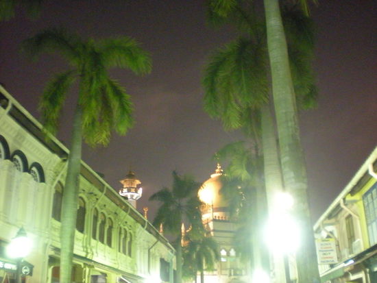 Teh Tarik und Chicken Masala im arabischen Viertel, einfach wahnsinnig lecker!