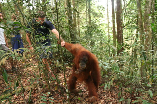 entfuehrt im Dschungel. Jackie in ihrem Element.