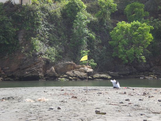 Golf on the beach???
