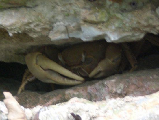 Wenn Blicke töten könnten!!!