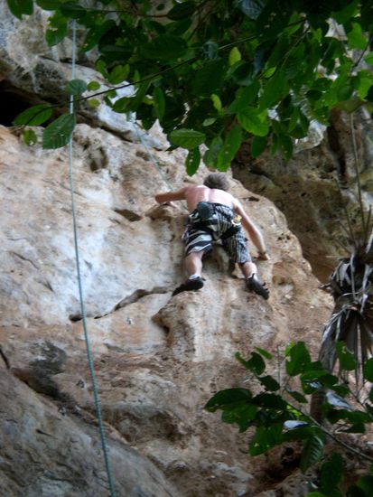 Gleich kommt der Bienenschwarm...