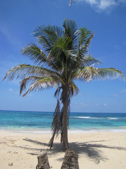 Welcome to Paradise =)