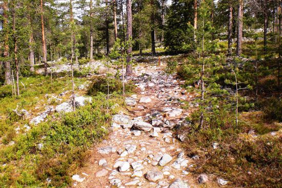 So sieht dann ein normaler Spazierweg aus.