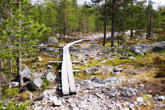 Bohlenweg über eine sogenannte "Nassstelle".