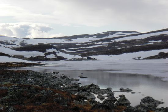 Der Saanajärvi-See - an der Schmalseite (etwa Bildmitte) ist schon mein Tagesziel, die "Open Wilderness Hut" zu erkennen.