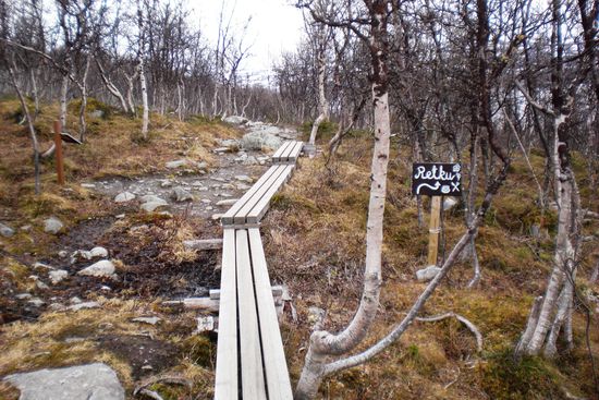 Bohlenweg durch die Zwergbirkenwälder am Westhang des Saana mit Wegweiser zu einem Restaurant.