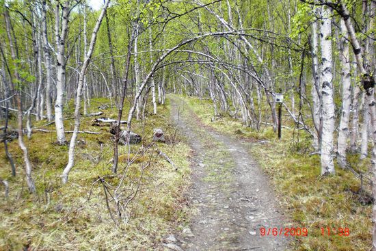 Der Wanderweg "Rallarveien" folgt größtenteils der Trasse des vor mehr als hundert Jahren zum Transport des Baumaterials für die Bahnstrecke angelegten Weges. Damals quälten sich hier mit Stahlteilen für die vielen Brücken schwer beladene Fuhrwerke durch die Wildnis. Auch heute noch sieht man links und rechts des Weges noch ab und zu ein altes rostiges Stahlteil aus dieser Zeit.