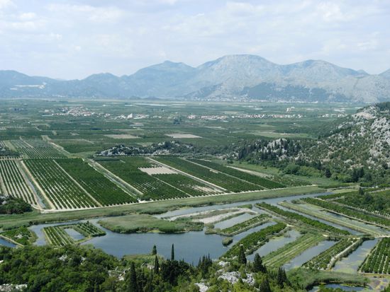 Blick ins Neretva-Delta, hier gibt es künstlich bewässerte Obst- und Olivenplantagen.
