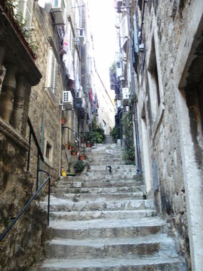 ... ziehen sich den Hügel hinauf