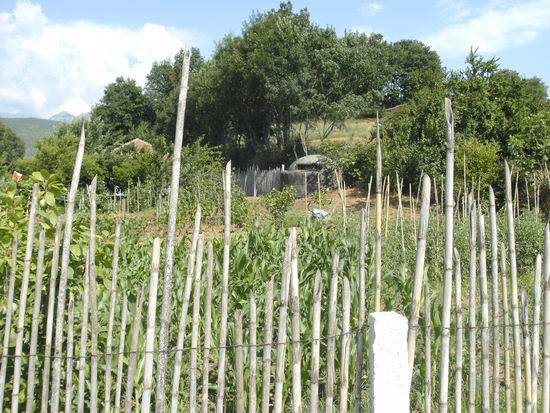 Hier hat jemand einen Bunker privatisiert und in seinen Garten integriert.