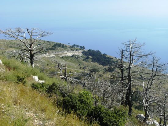 Blick aufs Meer aus über 1.000 m Höhe