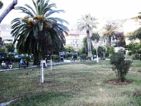 Palmenpark von Saranda
