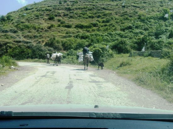 ...noch ist die Straße befahrbar, auch wenn die tiefen Löcher immer größer und zahlreicher werden...