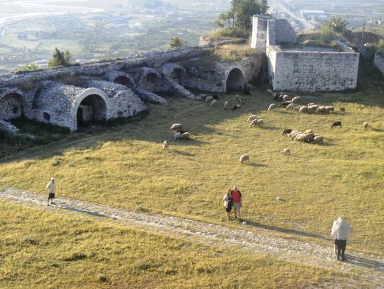 Innenhof der Burg - hier weiden die Schafe zwischen den historischen Mauern.