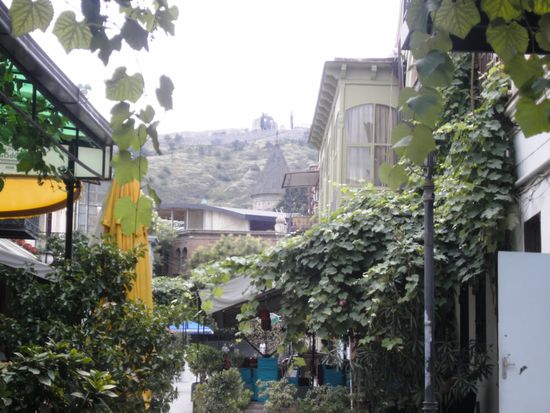 überall wächst Wein - im Hintergrund die Ruinen der Festung Narikala