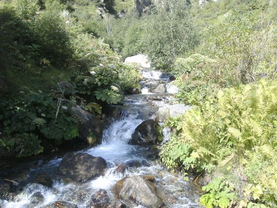 kristallklares Wasser und nahezu unberührte Natur...