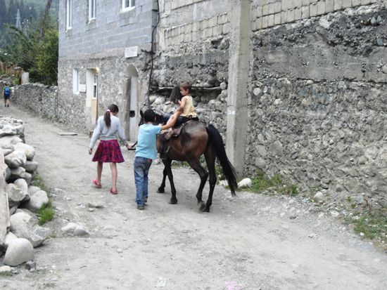 Solche Bilder gehören hier zum Alltag