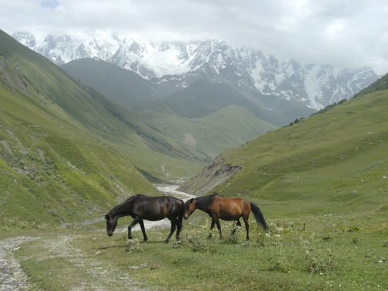 Ich wanderte ein Stück ins Tal hinein