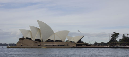 ....die Sydney Harbour Bridge und das Opera House dürfen auch nicht fehlen....