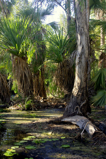 ...und Gott sei Dank wieder mal eine Chance für ein Bad wie z.B. hier in Bitter Creek...