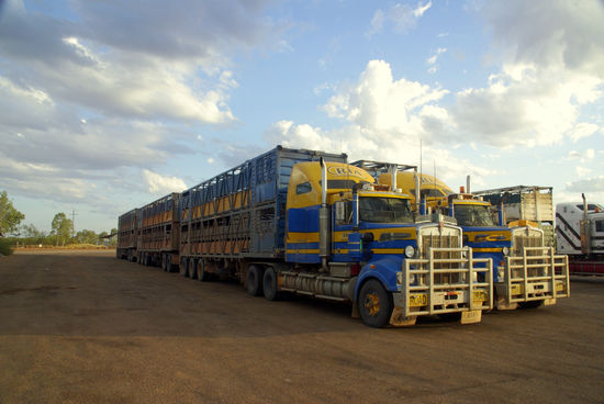 ....natürlich geht's nicht ohne Roadtrain. Die Dinger sind gigantisch....