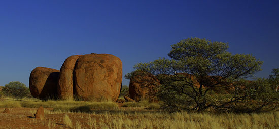 ...und zum dritten...