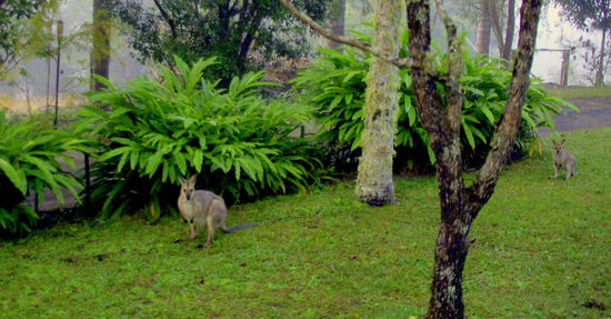 ...und noch ein paar Besucher...