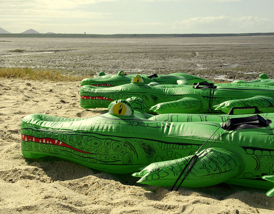 ...Stadtkrokodile (da braucht man keine Angst zu haben)...