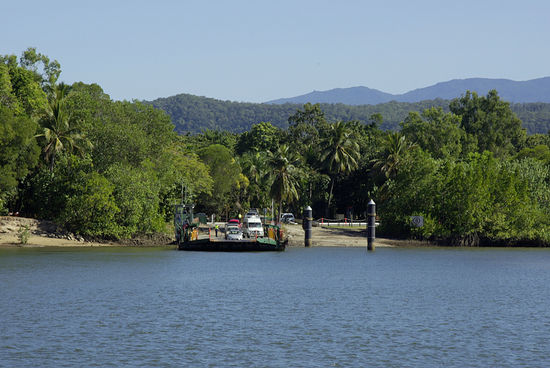 ... die Fähre über den Daintree River ...