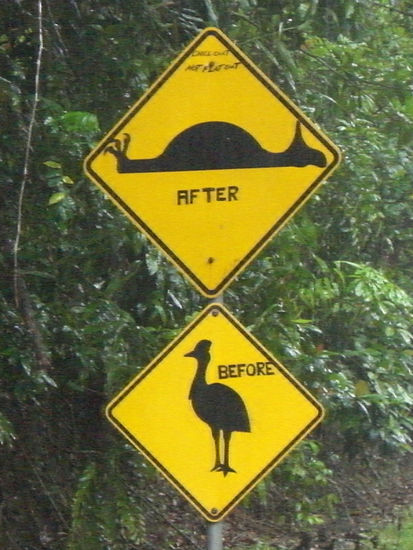 ... Das eindrucksvollste Verkehrsschild das ich je gesehen hab. Der Vogel der da drauf ist, ist ein Cassowary, der 2. grösste Vogel Australiens (bis zu 170cm) und leider vom aussterben bedroht. Schade......