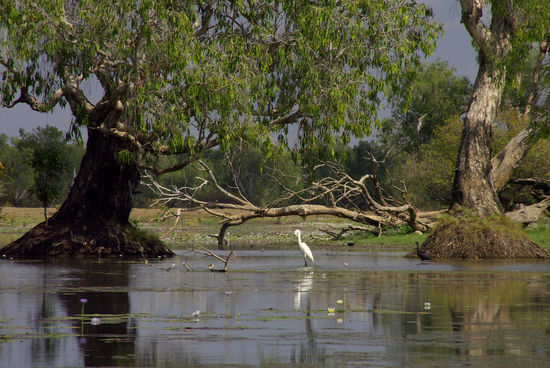 ...das ist so ein kleiner Happen für zwischendurch...
