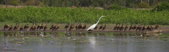 ...oder eine kleine Snack-Parade...