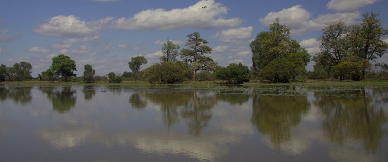 ...Zur Zeit ist ja hier nunmal Winter und insofern Trockenzeit. In der Regenzeit ist ein grossteil des Nationalparks überschwemmt und nicht befahrbar. Dann ist eine Fläche von mehreren 1000KM² unter Wasser...